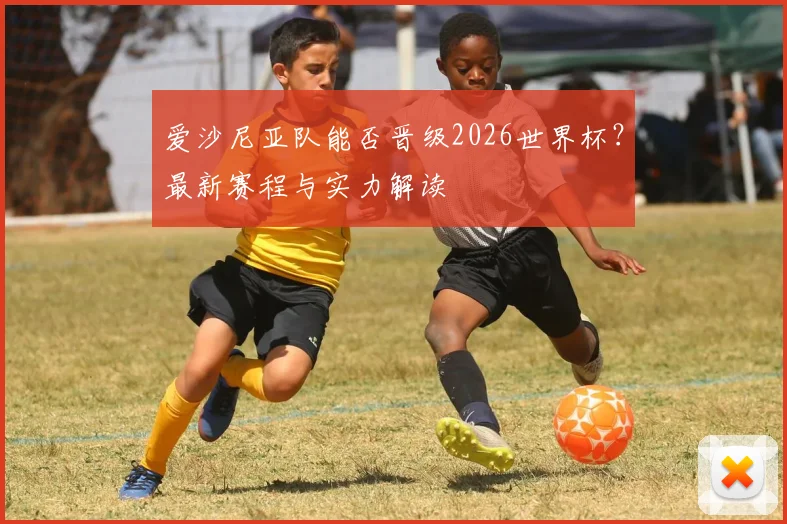 爱沙尼亚队能否晋级2026世界杯？最新赛程与实力解读